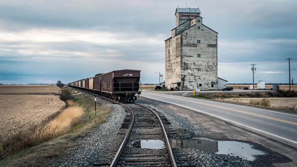 A freight train of grain hopper cars waits on a rail line beside a grain elevator on the Canadian prairie.